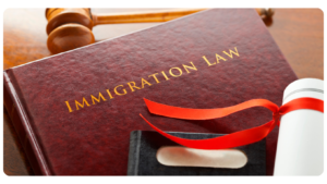 Deportation, Immigration Law