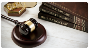 Steps to Take to Prevent Deportation, Immigration Law