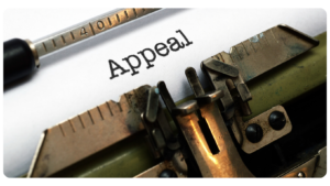 Immigration Appeals Attorney